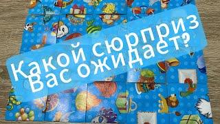 КАКОЙ СЮРПРИЗ 🫢 ВАС СКОРО ОЖИДАЕТ⁉️ гадание пасьянс