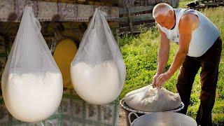 Traditional Cheese Making at a Romanian Sheepfold