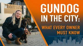 Gundog in the City: Unspoken Challenges & Tips