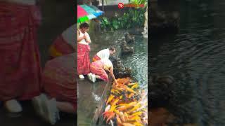 A holiday in the Island of the Gods with Travelpax (part 2)#bali#holidaybali