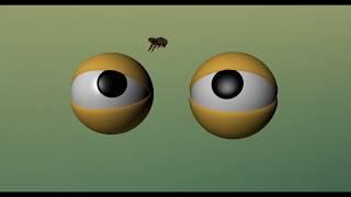 Maya_animation_Eyes