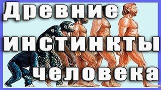 Древние инстинкты человека.The ancient human instincts