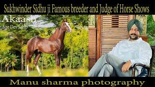 Talk with Sukhwinder Sidhu ji Famous breeder and Judge of Marwari horse shows