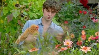 Gardeners World Rerun Eps 72