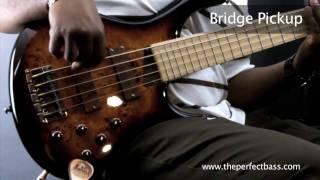 MTD Kingston Z5 Bass w/ Maple Fingerboard Demo - The Perfect Bass