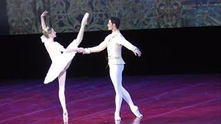 2018 Anna Nikulina & Jacopo Tissi Sleeping Beauty PDD