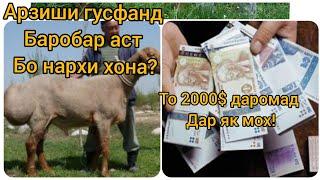 #ФаррухСаломов ГУСФАНДПАРВАРИ ВАЗНИ ГУСФАНД ТО 200КГ СИРИ ИН ДАР ЧИСТ?