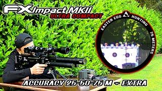 FX Impact MKII Ultra Compact Accuracy Review