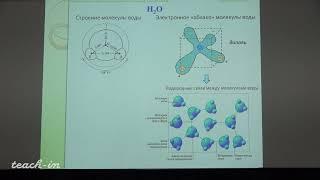 Гриневский С.О. - Гидрогеология. Часть 1 - 5. Строение молекулы и структура воды