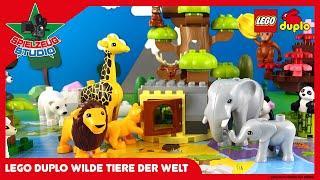 LEGO DUPLO Wilde Tiere der Welt - Spielzeug Video für Kinder auf deutsch