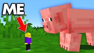 If I Die Minecraft Gets Smaller...