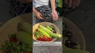 Summer garden harvest #organicgardening