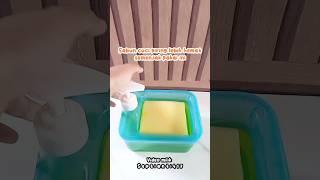 Rekomendasi sabunc cuci piring #linkdideskripsi