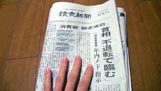 Unintentional ASMR  Browsing through Japanese Newspaper & Paper Ads (Page Turning & Talking)