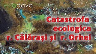 Cîteva sate din raioanele Orhei și Călărași, se confruntă cu o catastrofă ecologică alarmantă