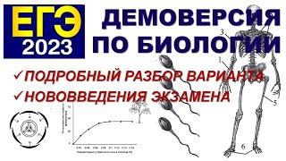 ДЕМОВЕРСИЯ ЕГЭ ПО БИОЛОГИИ 2023 | ПОДРОБНЫЙ РАЗБОР