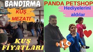 BANDIRMA KUŞ MEZATI // KUŞ FİYATLARI NE KADAR? // SULTAN PAPAĞANI VE MUHABBET KUŞLARI / KANARYALAR