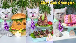 Join Me For The Warmest Food Videos Of Winter 2023!|Cat Cooking Food|Cute And Funny Cat