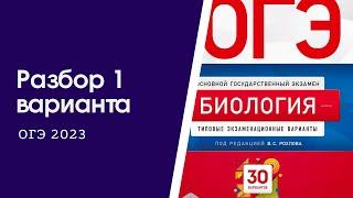 Разбор 1 варианта из сборника Рохлова ОГЭ 2023