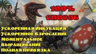 Как ускорить инкубацию, рост динозавров. Как моментально вырастить динозавра в ARK?