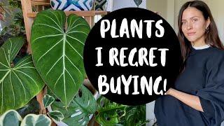 Houseplants I REGRET BUYING!