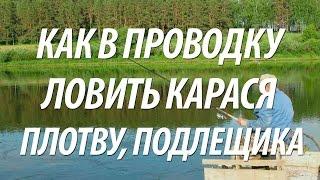 РЫБАЛКА НА КАРАСЯ, ПЛОТВУ, ПОДЛЕЩИКА В ПРОВОДКУ ОСЕНЬЮ С НОРМУНДОМ