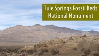 A New Less Known National Park of Las Vegas | Vlog | Tule Springs Fossil Beds National Monument