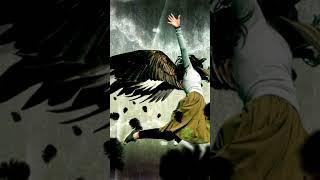 Birdy - Strange Birds