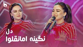 Nigina Amonqulova New Song 2023 - Dil | نگینه امانقلوا - دل