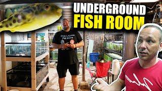 SECRET UNDERGROUND FISH ROOM TOUR!!!