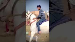 Thakur ha ji 