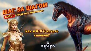 Viking Rise - Советы о скакунах