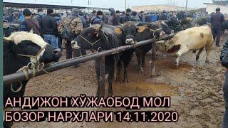 АНДИЖОН ХЎЖАОБОД МОЛ БОЗОР НАРХЛАРИ 14.11.2020