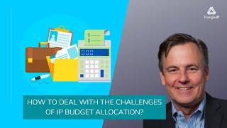 How to Deal with the Challenges of IP Budget Allocation? Triangle IP