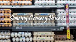 Surviving Record-High Grocery Prices as a Family of 10