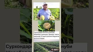 TEZKOR XABAR(yangilik)
