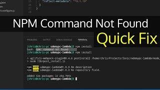 NPM Command Not Found - NodeJS Quick Fix