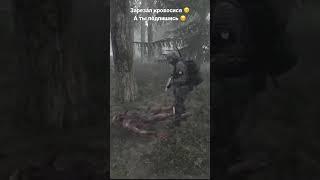 Зарезал кровосися #stalker #stream #леший #dayz #roleplay #рп #сталкер #чернобыль