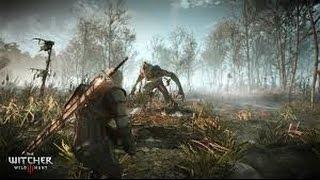 The Witcher 3 - Gameplay on 3GB RAM / GTX 960 / i5 4460