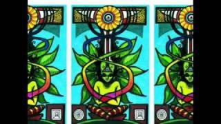 Rusted Root - Send Me On My Way (with lyrics)