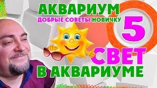 Аквариум.  Свет в аквариуме. Добрые советы новичку.