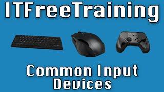 Common Input Devices