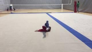 Flexibilidad