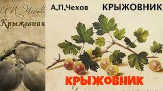 Антон Чехов.Крыжовник.Аудиокниги бесплатно.Читает актер Юрий Яковлев-Суханов.