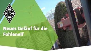 Neues Geläuf für die Fohlenelf