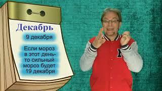 Приметы Декабря. Народный календарь погоды.