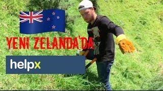 Yeni Zelanda'da HelpX Vlog #4