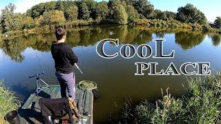 Спринт на COOl PLACE з PUHACH BAITS #fishing #рибалка #feeder