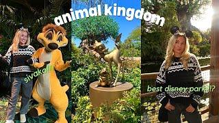 ANIMAL KINGDOM(THE BEST DISNEY PARK)?!?must do’s, rides, entertainment, foods + drinks