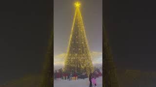 Алматы. Зима 2023. Казахстан. Kazakhstan. Almaty. Foggy night. Winter 2023